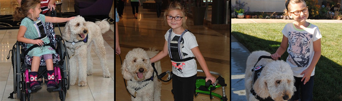 TLCAD’s Solar wins Art for Barks Hero Service Dog Competition